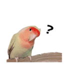 らぶばあああっど＋（個別スタンプ：6）