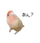 らぶばあああっど＋（個別スタンプ：9）