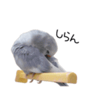 らぶばあああっど＋（個別スタンプ：10）