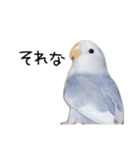 らぶばあああっど＋（個別スタンプ：11）