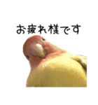 らぶばあああっど＋（個別スタンプ：17）