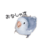らぶばあああっど＋（個別スタンプ：18）