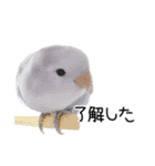 らぶばあああっど＋（個別スタンプ：19）