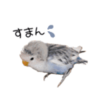 らぶばあああっど＋（個別スタンプ：21）