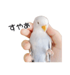 らぶばあああっど＋（個別スタンプ：25）