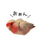 らぶばあああっど＋（個別スタンプ：28）