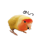 らぶばあああっど＋（個別スタンプ：32）