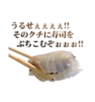 ハイテンションお寿司（個別スタンプ：22）