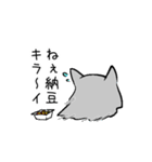 オオカミちゃんと猫帽子（個別スタンプ：8）