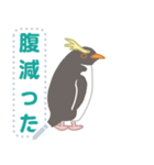 ペンギンたちの日常メッセージスタンプ（個別スタンプ：17）