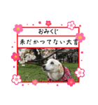 ラブラドールな毎日♡犬の日スペシャル40（個別スタンプ：22）