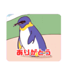 ペンギンの愉快なスタンプ集（個別スタンプ：3）