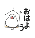 もち文鳥の毎日使えるデカ文字（個別スタンプ：1）