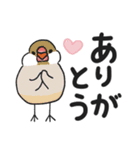 もち文鳥の毎日使えるデカ文字（個別スタンプ：6）