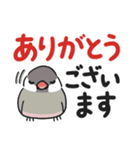 もち文鳥の毎日使えるデカ文字（個別スタンプ：7）