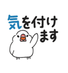 もち文鳥の毎日使えるデカ文字（個別スタンプ：33）