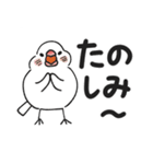 もち文鳥の毎日使えるデカ文字（個別スタンプ：39）