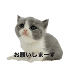 どれみの日常会話です（個別スタンプ：4）