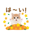 かわいい猫❤️飛び出す❤️ねこ❤️秋（個別スタンプ：4）
