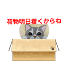 おおさかねこちゃん10（個別スタンプ：14）