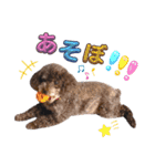 きゃらめるちゃんスタンプ。2（個別スタンプ：2）