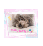 きゃらめるちゃんスタンプ。2（個別スタンプ：5）