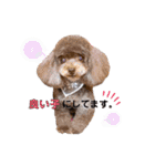 きゃらめるちゃんスタンプ。2（個別スタンプ：14）
