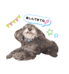 きゃらめるちゃんスタンプ。2（個別スタンプ：16）