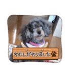 きゃらめるちゃんスタンプ。2（個別スタンプ：35）