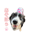 スバルfamily（個別スタンプ：6）