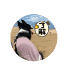 スバルfamily（個別スタンプ：21）