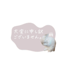 うさぎのLaniさん(日常で使える敬語)（個別スタンプ：2）