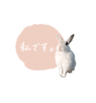 うさぎのLaniさん(日常で使える敬語)（個別スタンプ：7）
