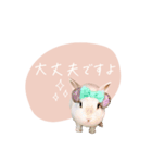 うさぎのLaniさん(日常で使える敬語)（個別スタンプ：13）