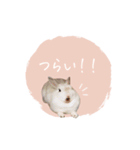 うさぎのLaniさん(日常で使える敬語)（個別スタンプ：16）