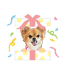ゆずとはっさくスタンプ（個別スタンプ：7）
