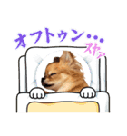 ゆずとはっさくスタンプ（個別スタンプ：15）