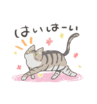 たきねこさん（個別スタンプ：1）