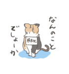 たきねこさん（個別スタンプ：3）