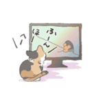 たきねこさん（個別スタンプ：7）