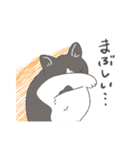 たきねこさん（個別スタンプ：8）