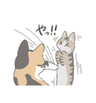 たきねこさん（個別スタンプ：10）