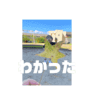 あさくんだよ！②（個別スタンプ：2）