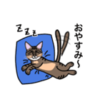 キジトラ猫のニャンタ（個別スタンプ：8）