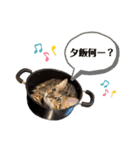 あるれおえれすたんぷ3（個別スタンプ：9）