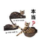 あるれおえれすたんぷ3（個別スタンプ：11）