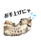 あるれおえれすたんぷ3（個別スタンプ：14）