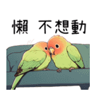 カップルの恋の鳥♡日記（個別スタンプ：30）