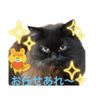 黒猫 ルナ院長118にゃんめ（個別スタンプ：2）