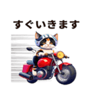 バイク猫-赤ジャケ-（個別スタンプ：2）